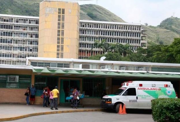 Herido bebé de un año tras ser mordido por una coral en Aragua