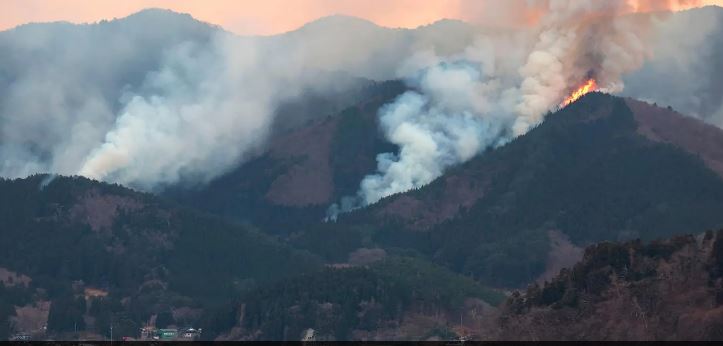 Al menos un fallecido durante incendio forestal en Japón: es el peor registrado en 50 años